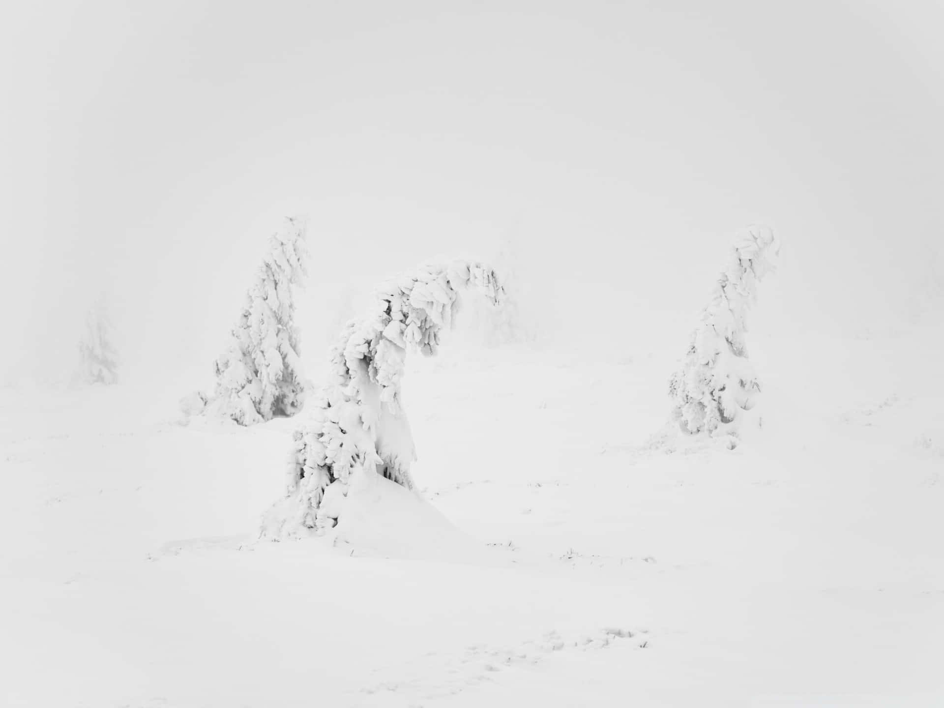 欣赏雪覆丘陵之美 壁纸