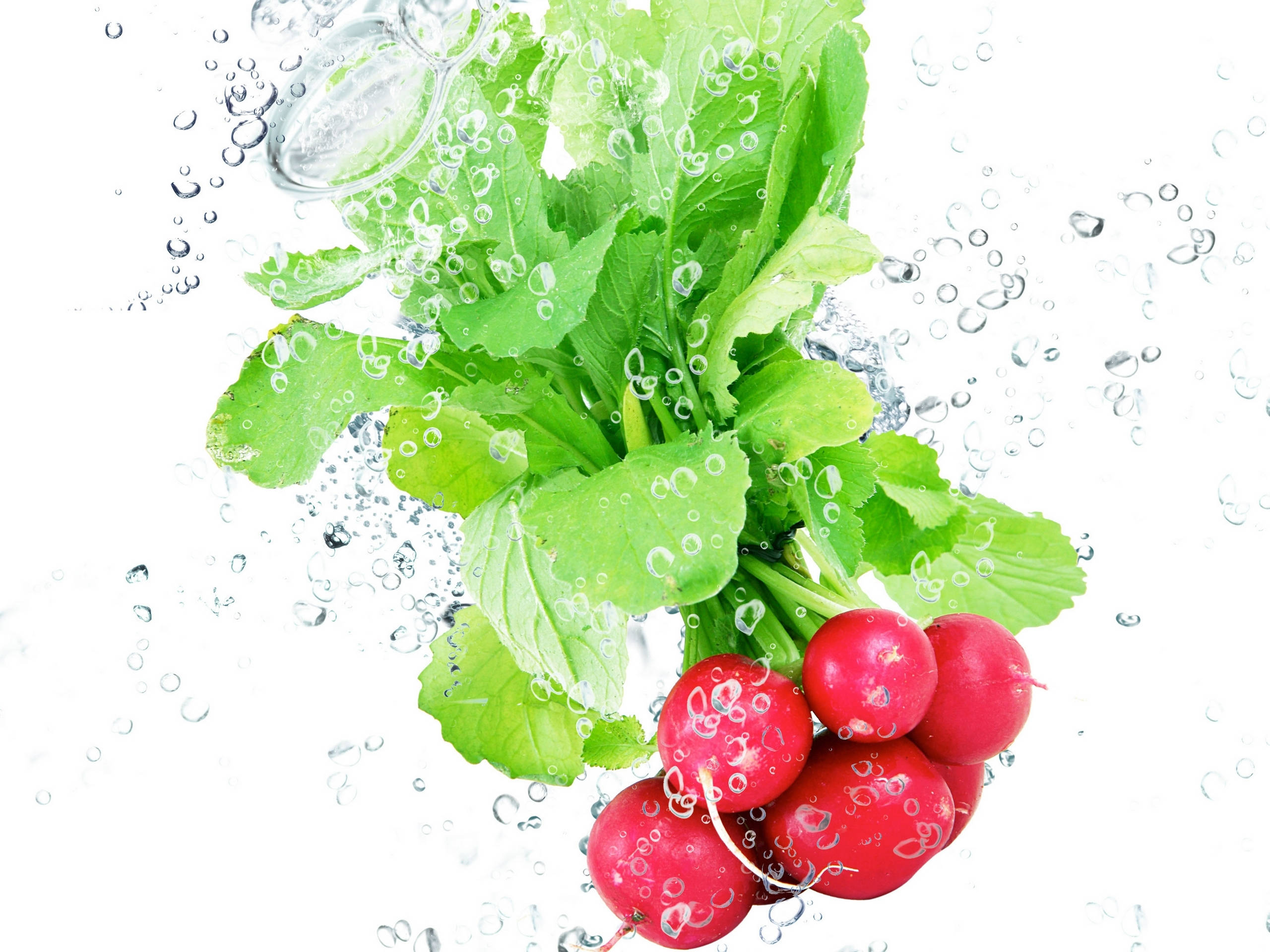 水下甜菜蔬菜 壁纸