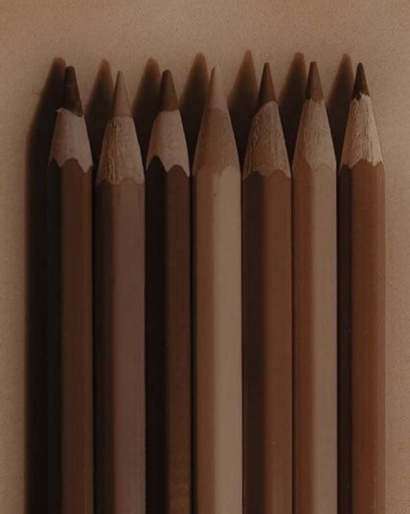 沉浸于美学棕色场景的自然之美 壁纸