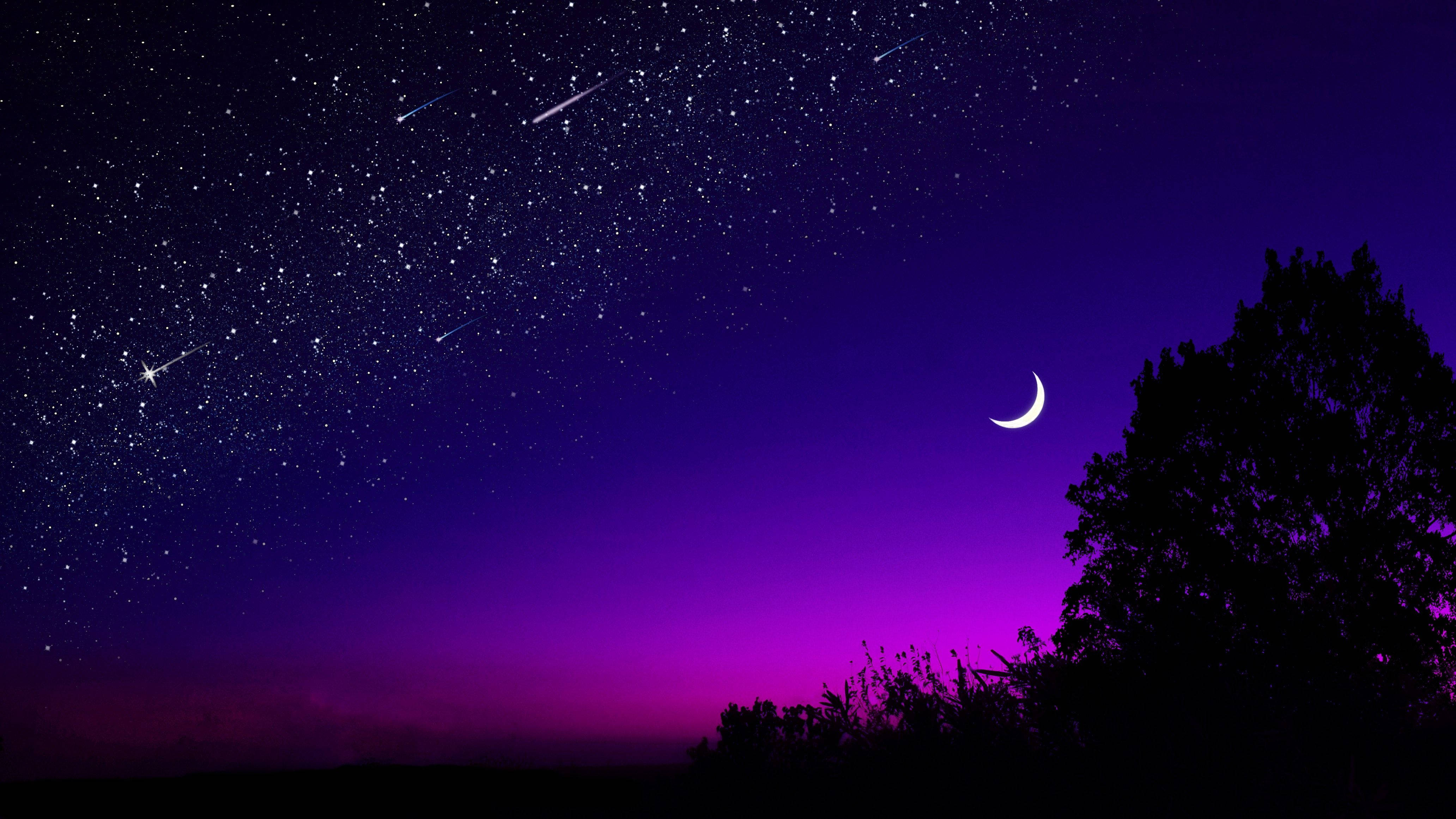 流星点缀的美丽夜空 壁纸