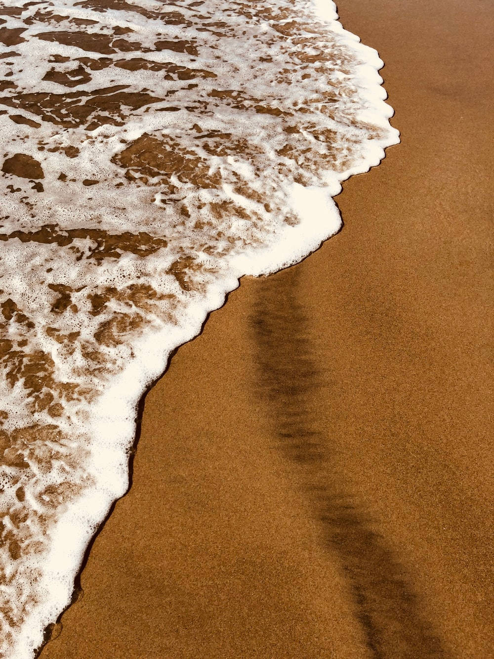 浅棕美学海岸线 壁纸