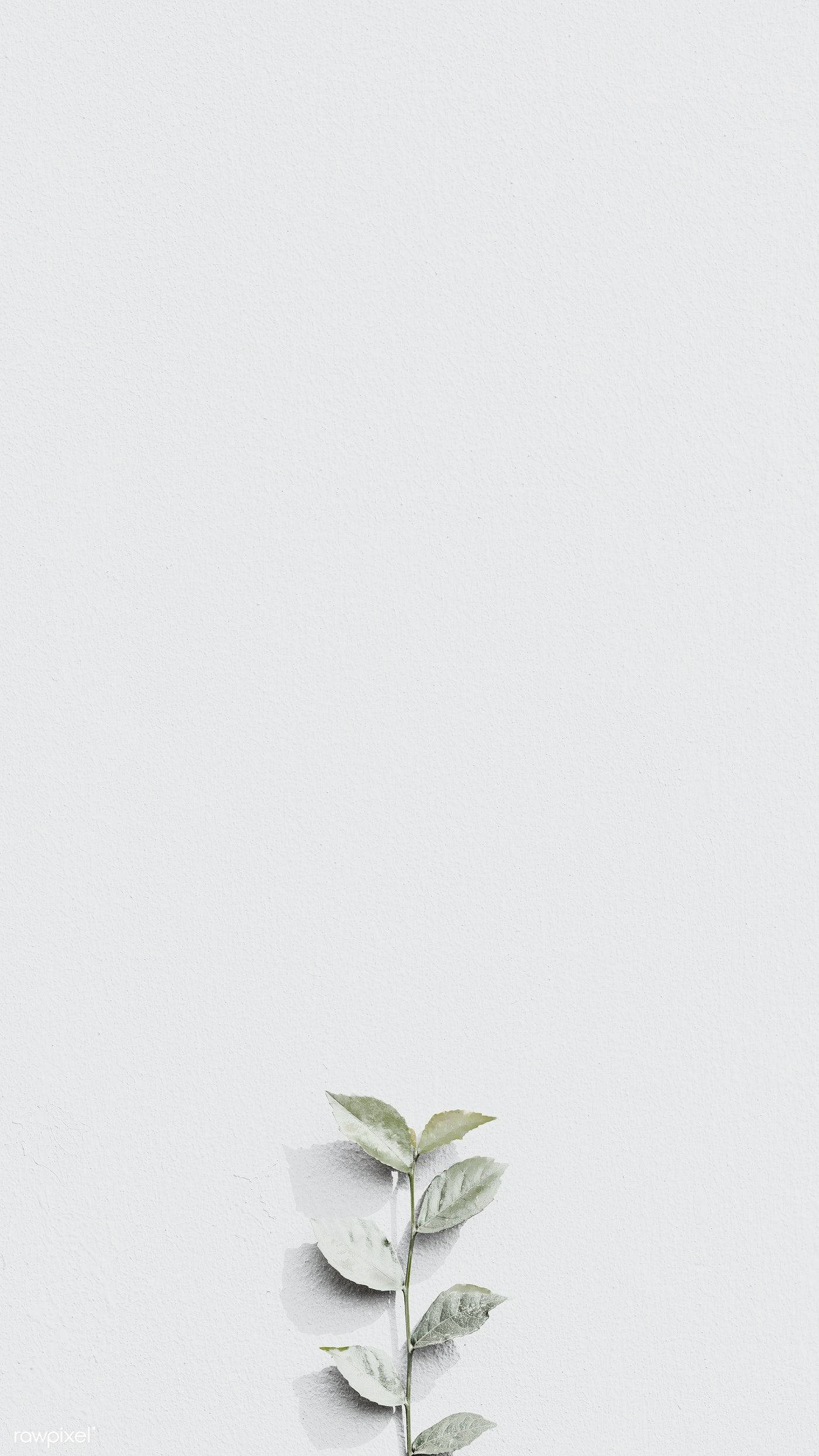 浅灰美学绽放 壁纸