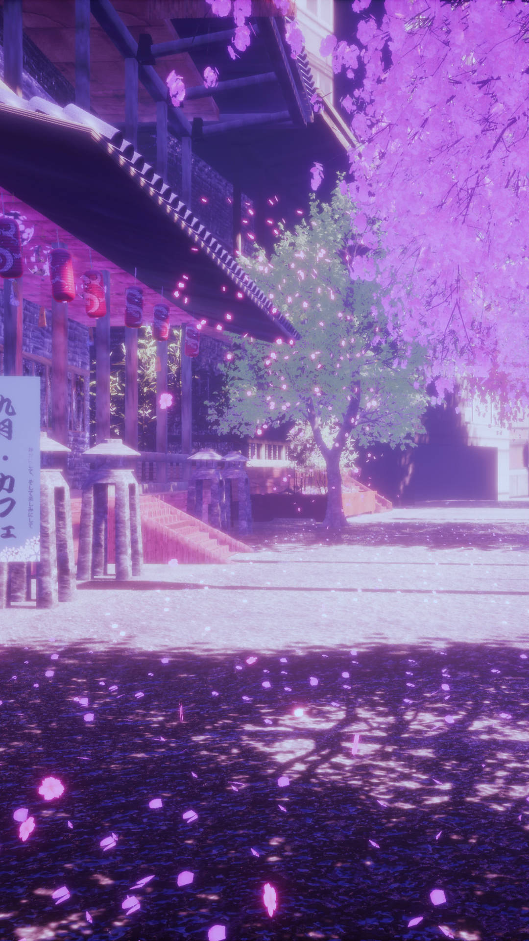浅紫色美学樱花 壁纸