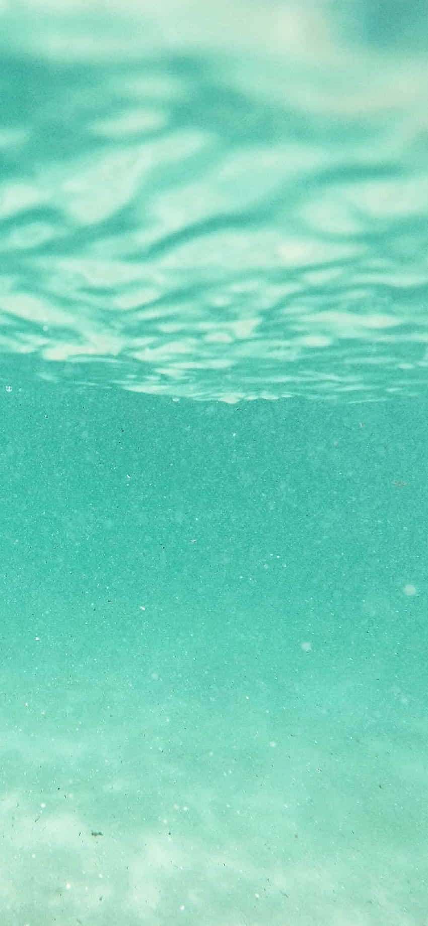 海洋水下视角 壁纸