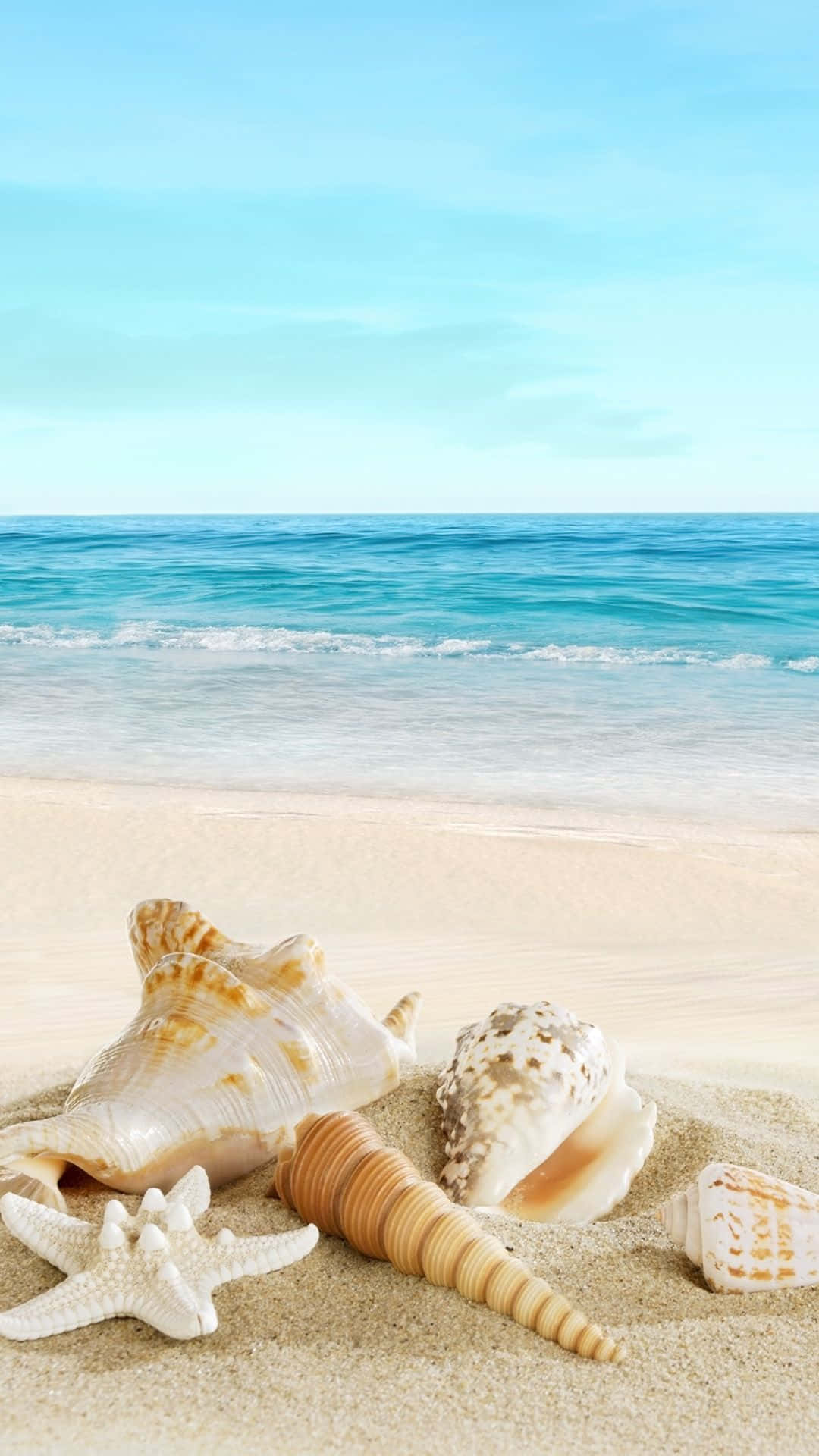 海滩手机贝壳 壁纸