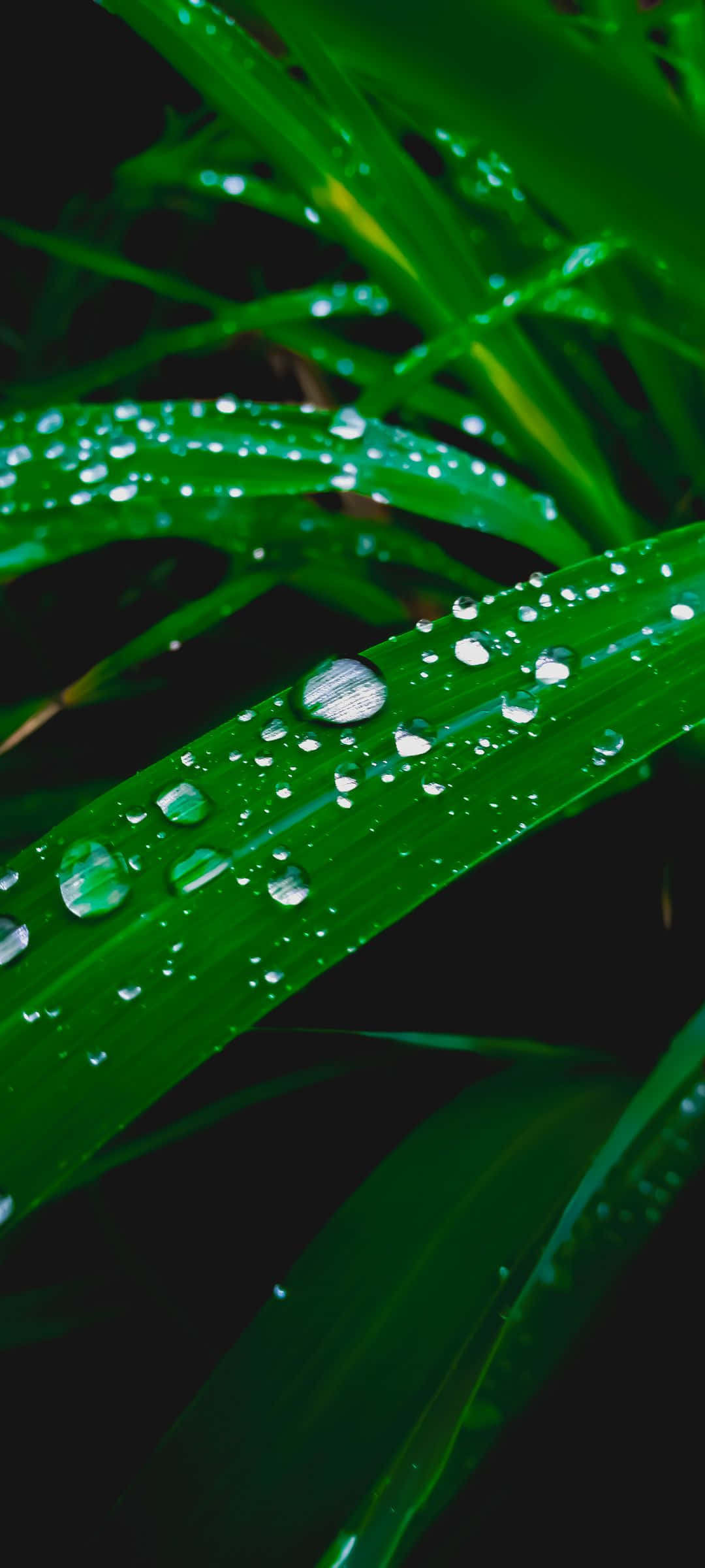 海滩欢迎你 壁纸
