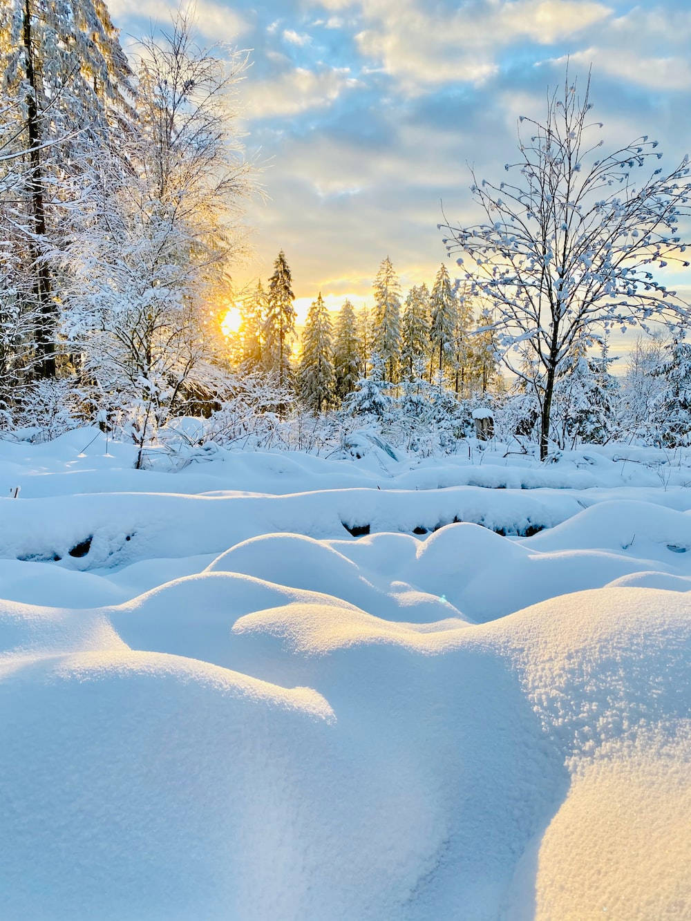 温馨冬日晨曦雪景 壁纸