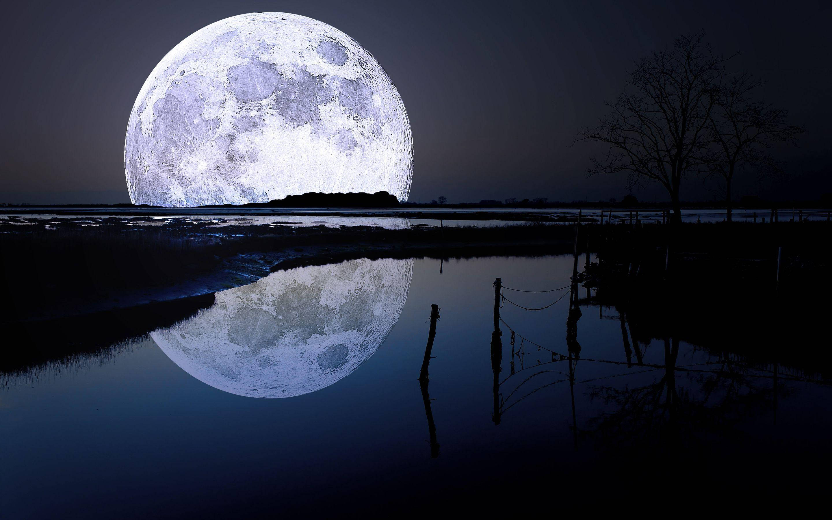 湖上月夜 4K满月 壁纸