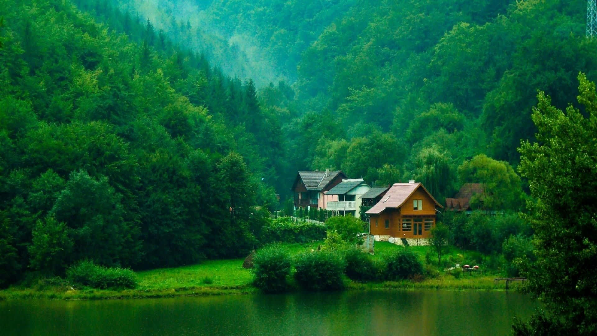 湖景房屋与树木背景 壁纸