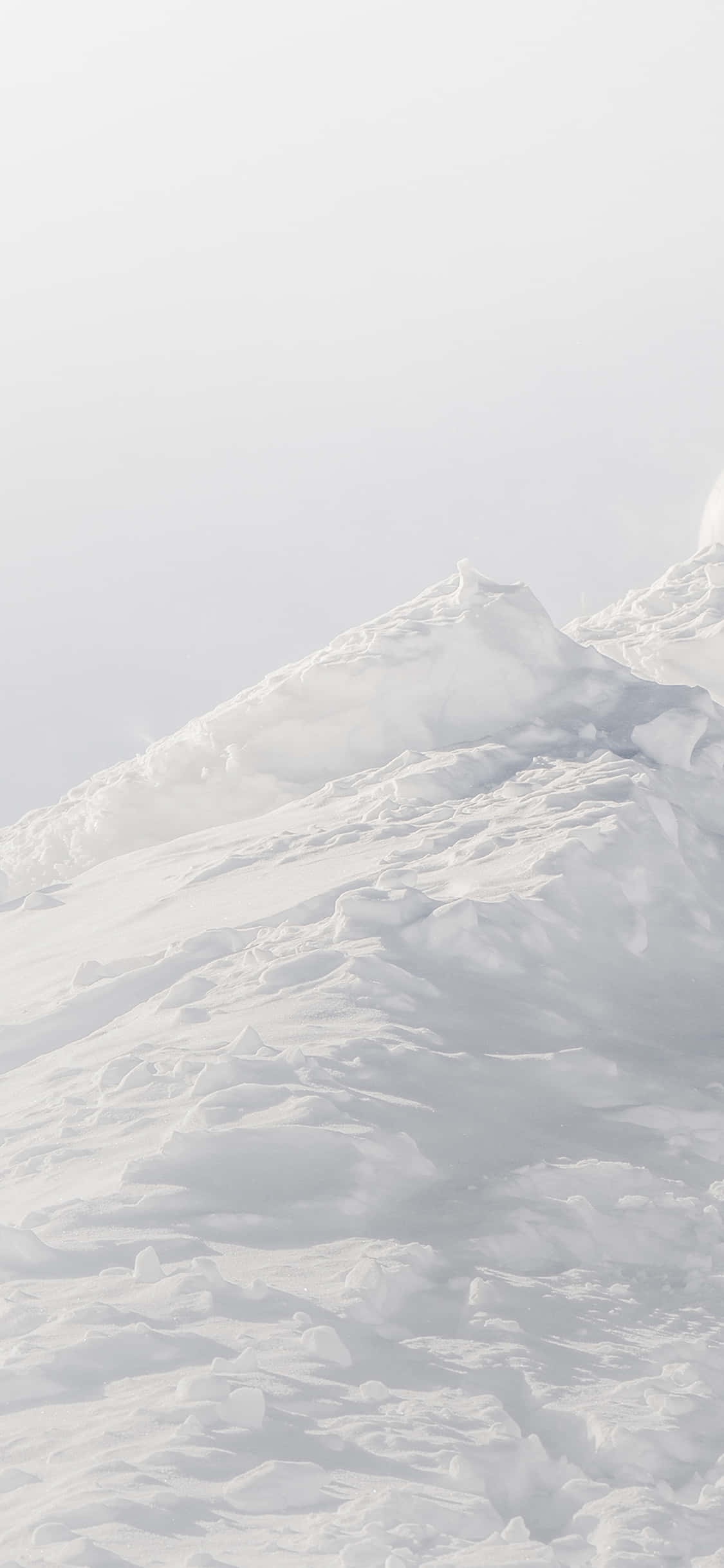 滑雪者驰骋雪坡 壁纸