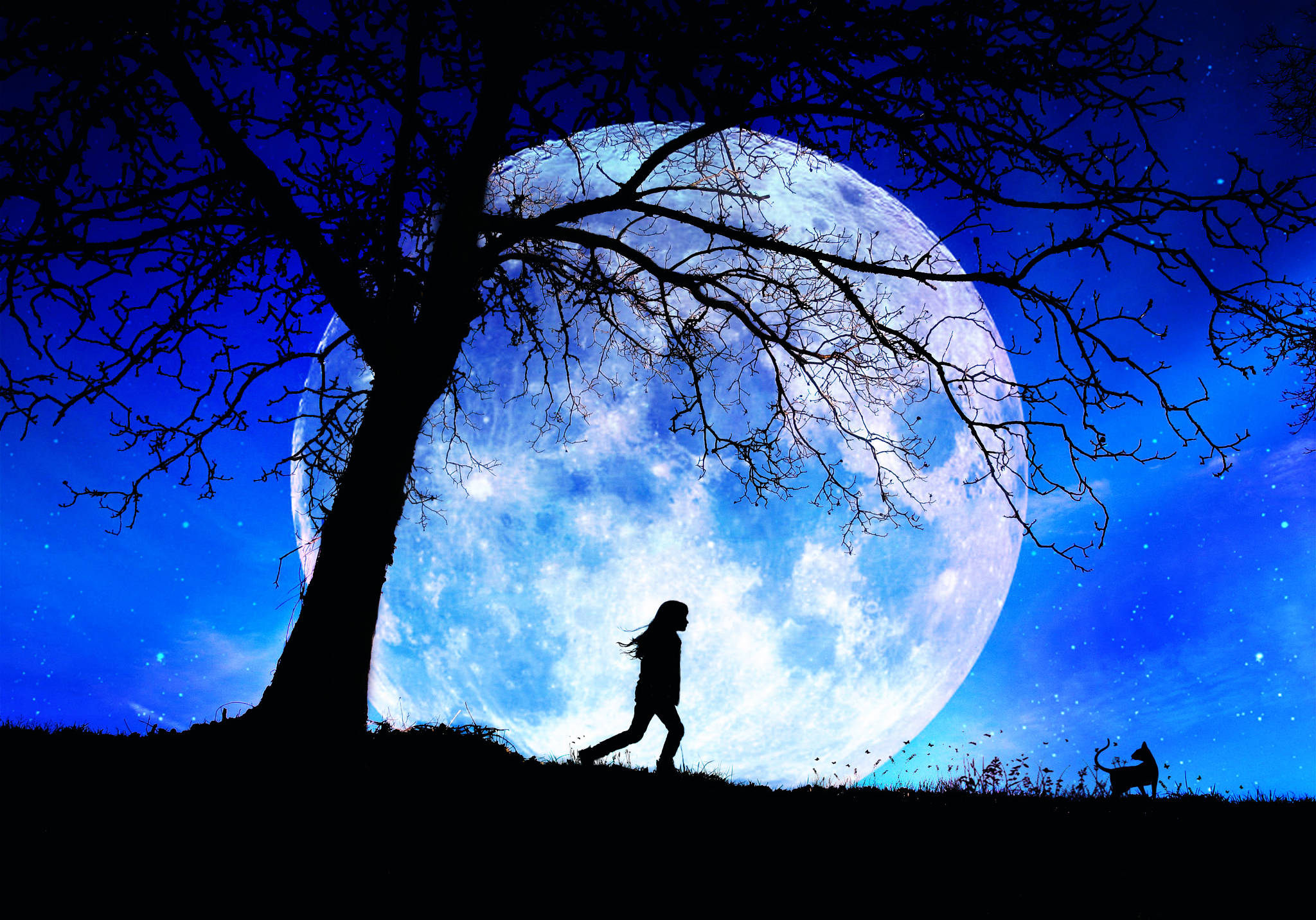 漫步月夜星空 壁纸