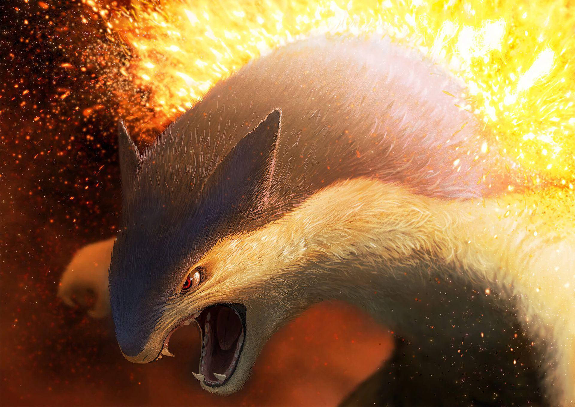 火爆兽特写高清 壁纸