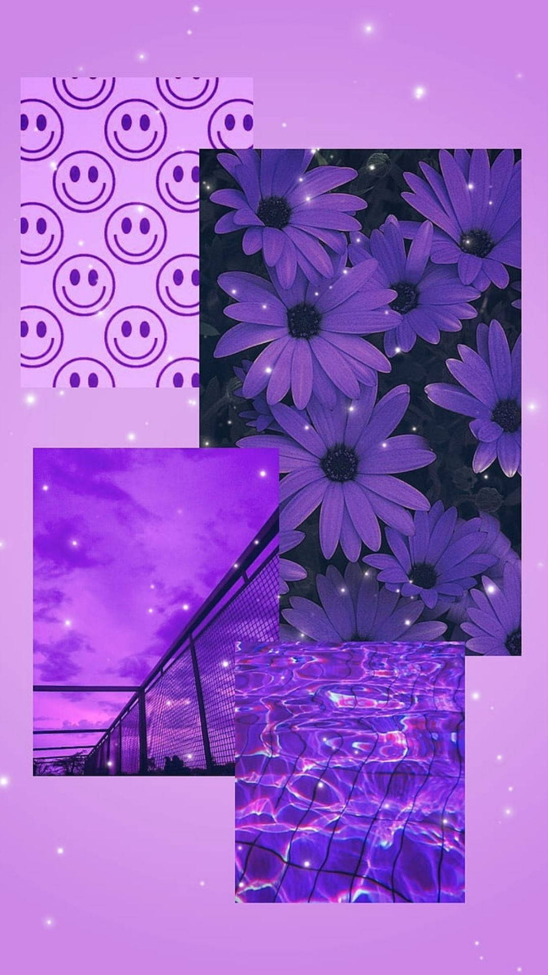 炫目紫色花朵美学 壁纸