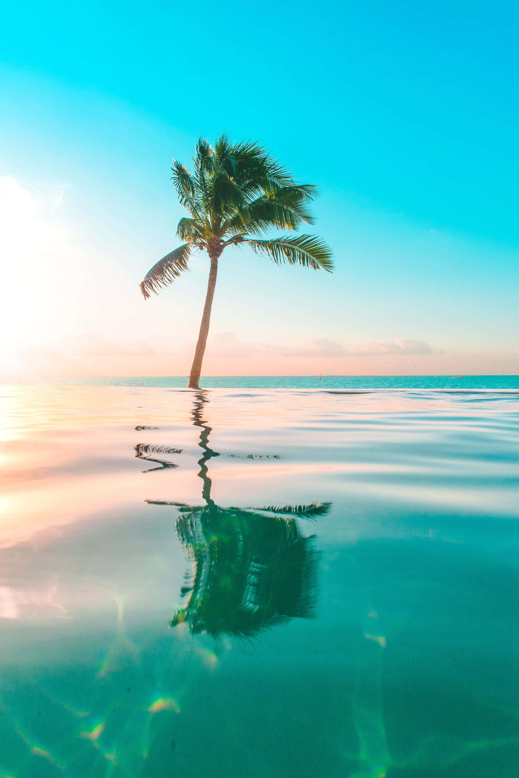 热带海滩的绝美景色 壁纸