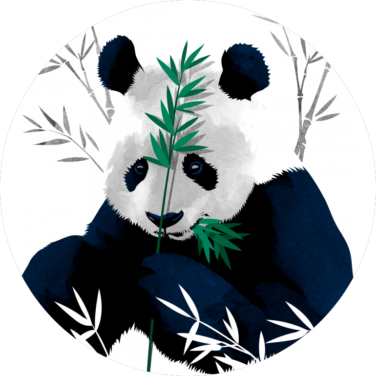 熊猫吃竹子矢量艺术 壁纸