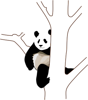 熊猫在树后探头 壁纸