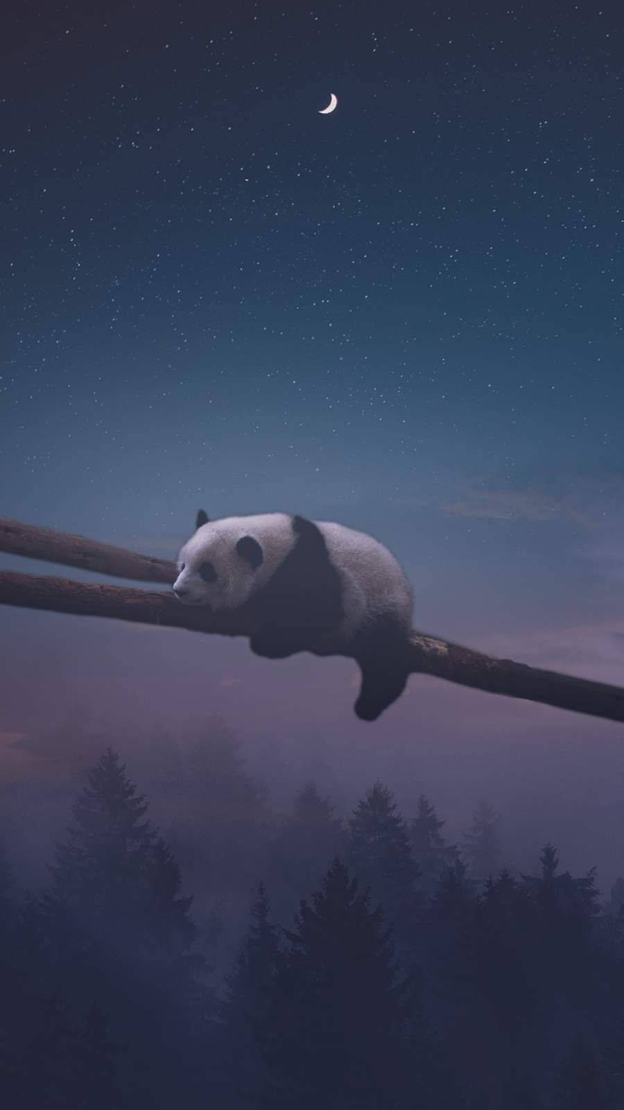 熊猫夜眠 壁纸