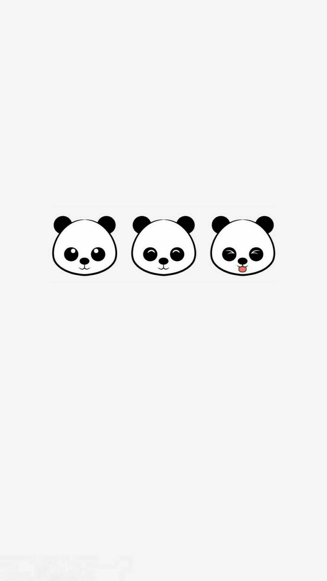 熊猫头可爱iPhone壁纸 壁纸