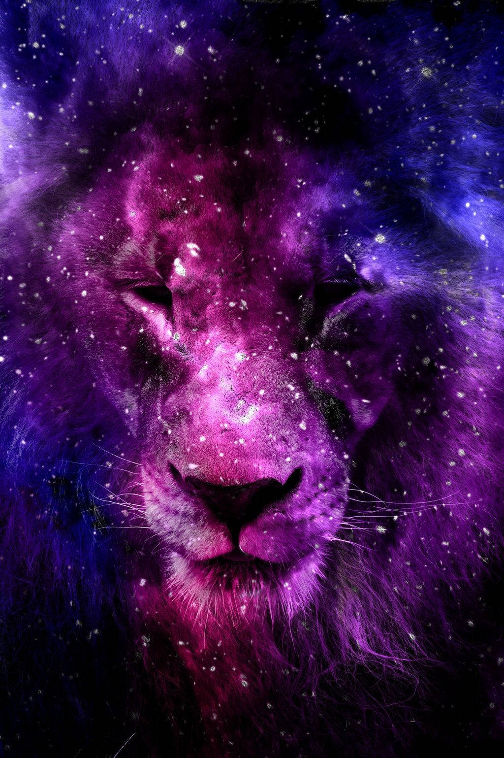 狮子星系紫夜 壁纸