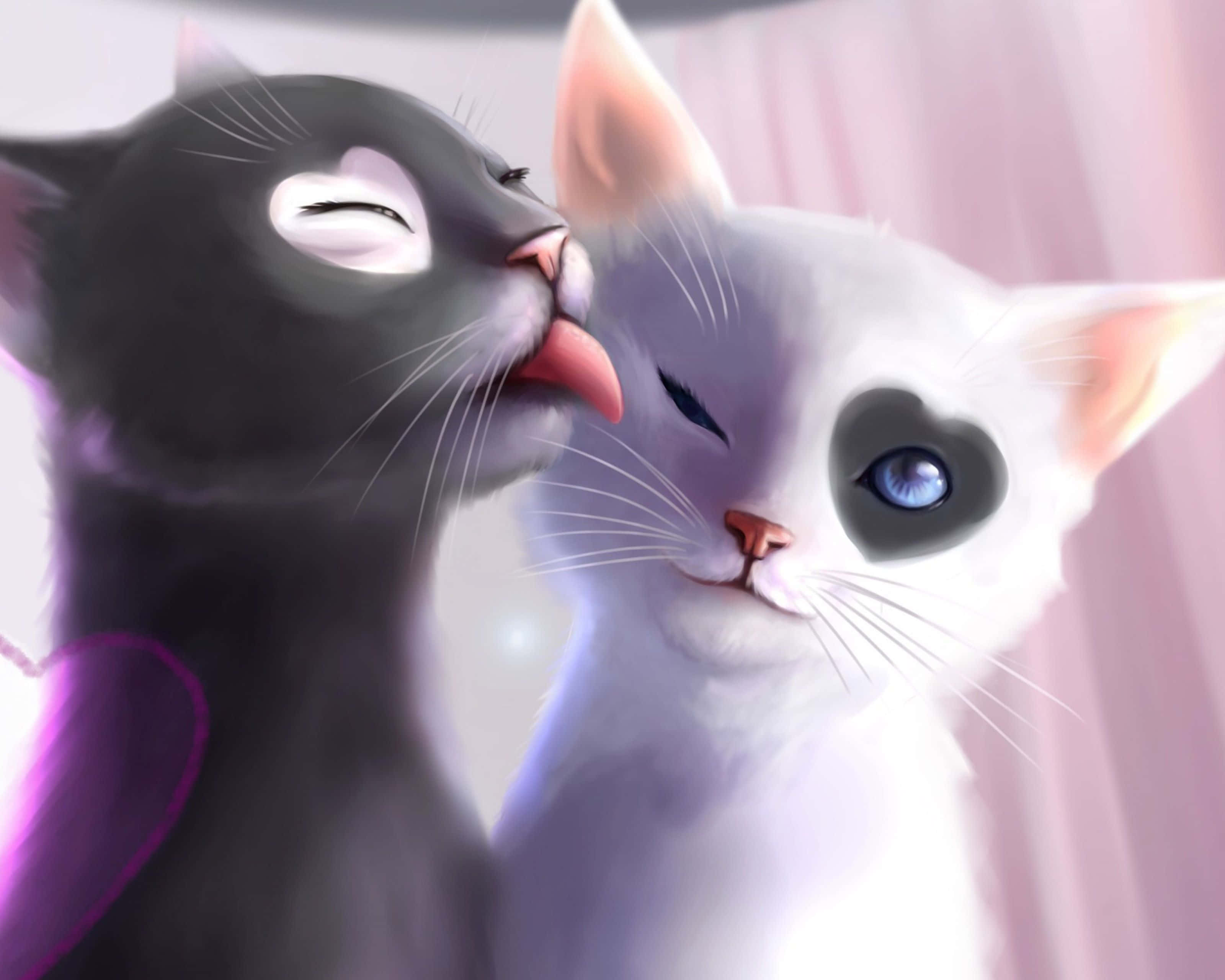 猫咪舔舐情侣头像 壁纸