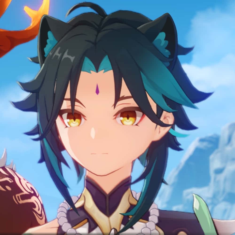 猫耳小PFP 壁纸
