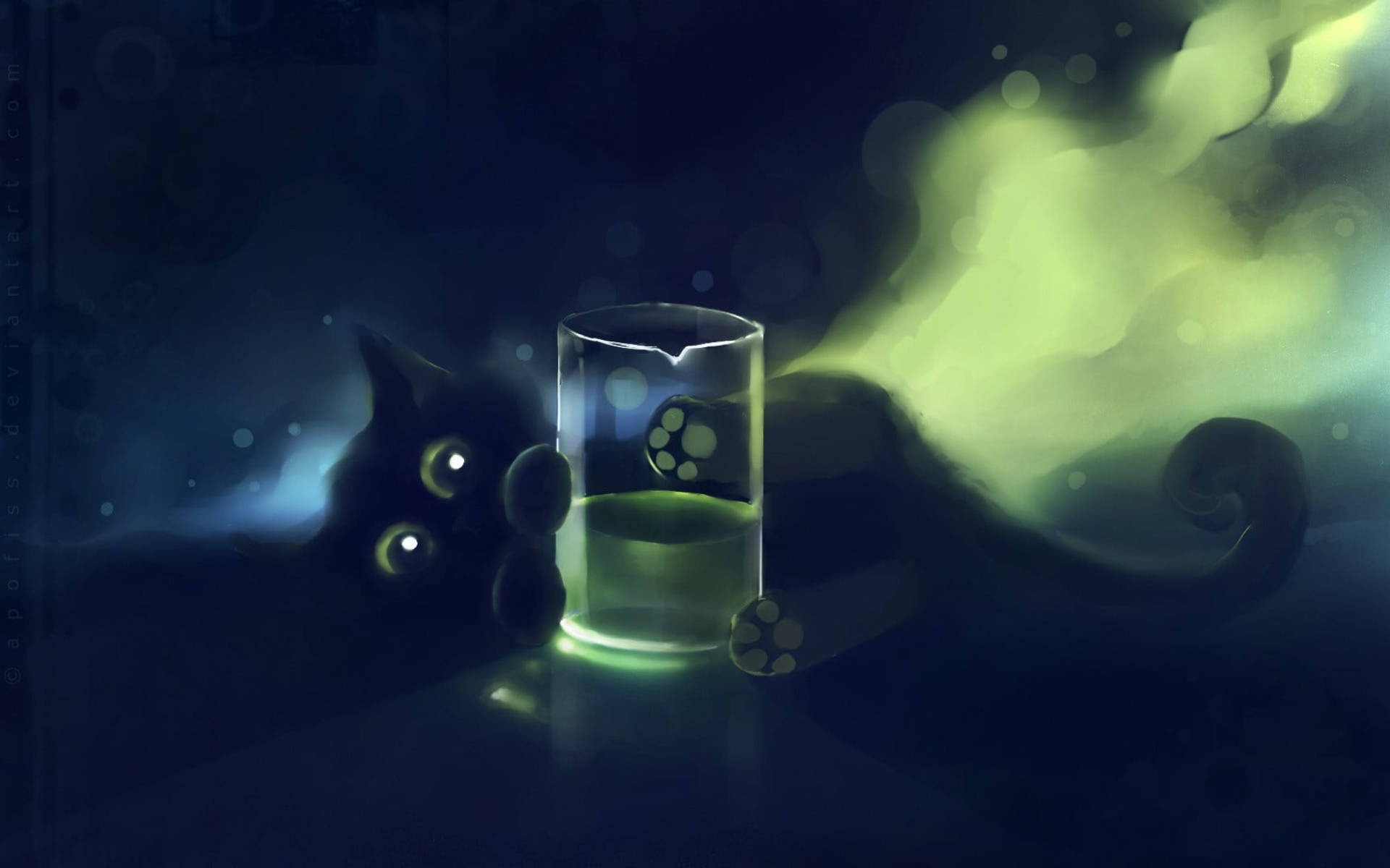 玻璃后的可爱黑猫 壁纸