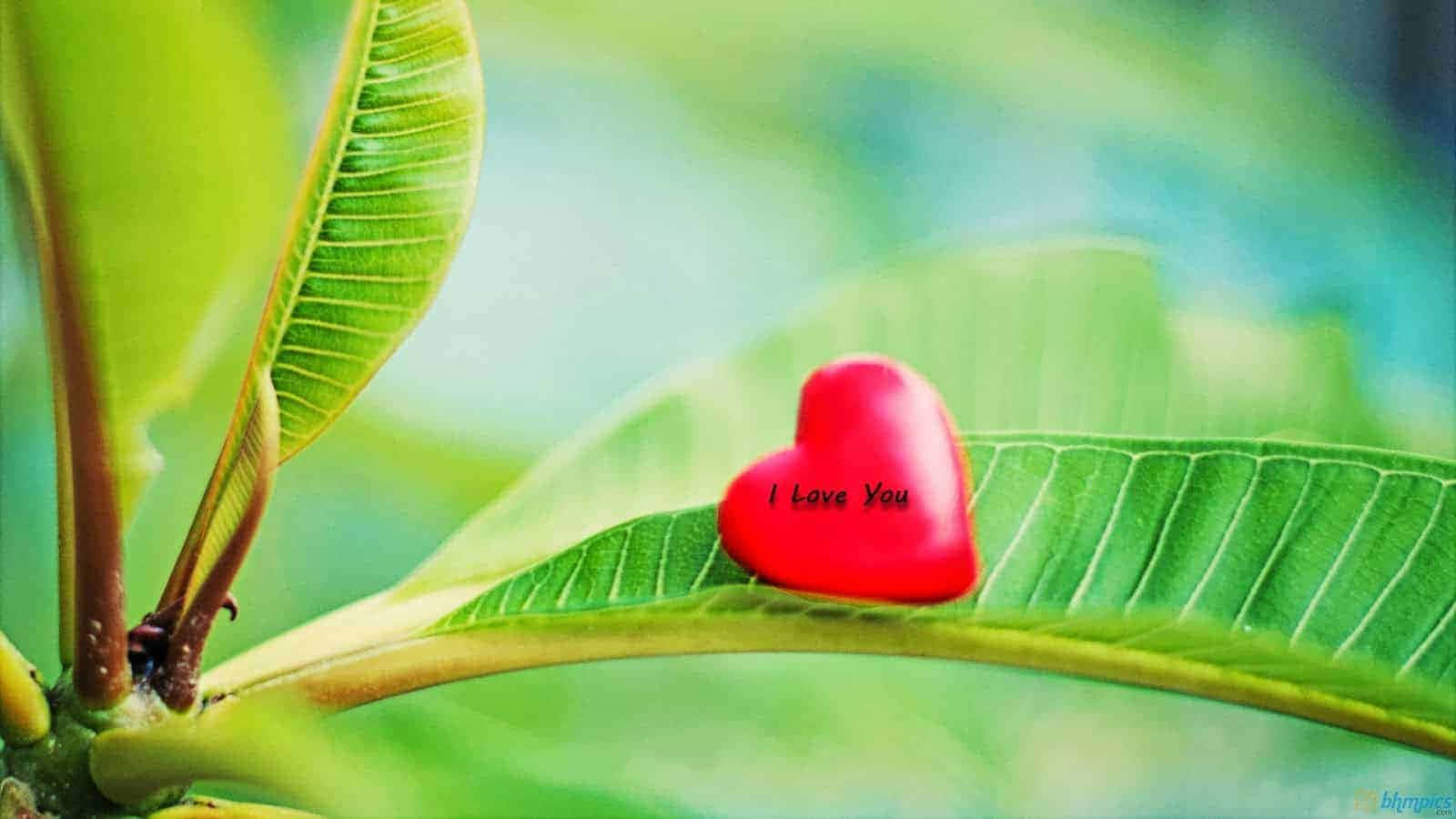 用浪漫的I Love You壁纸表达爱意 壁纸