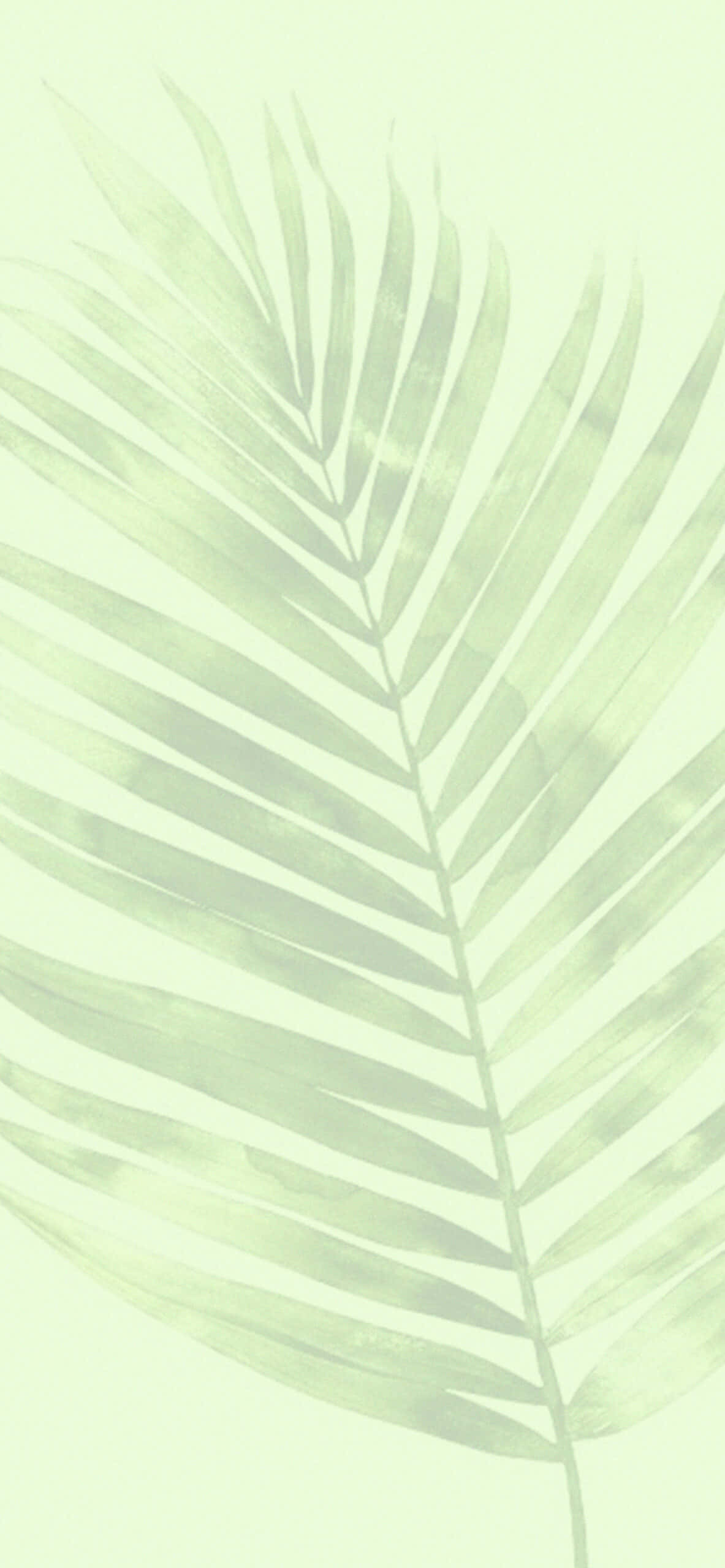 用绿色美学为你的空间带来清新气息 壁纸