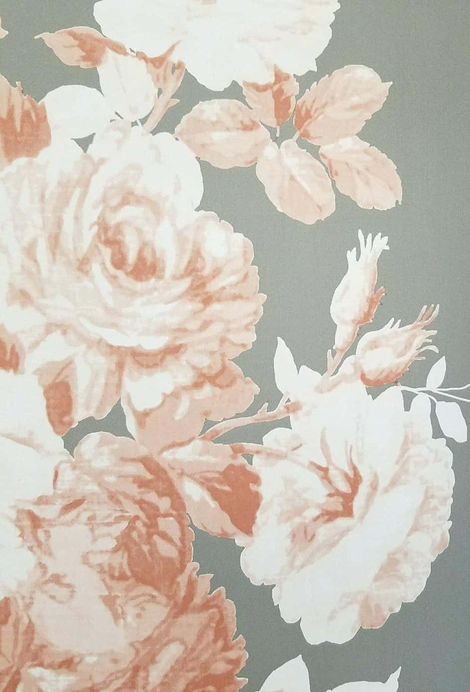 用美丽花朵壁纸点亮你的一天 壁纸