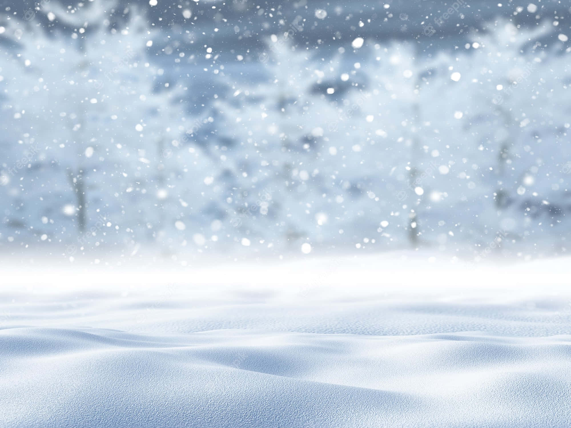 白色冬日树木飘雪背景 壁纸