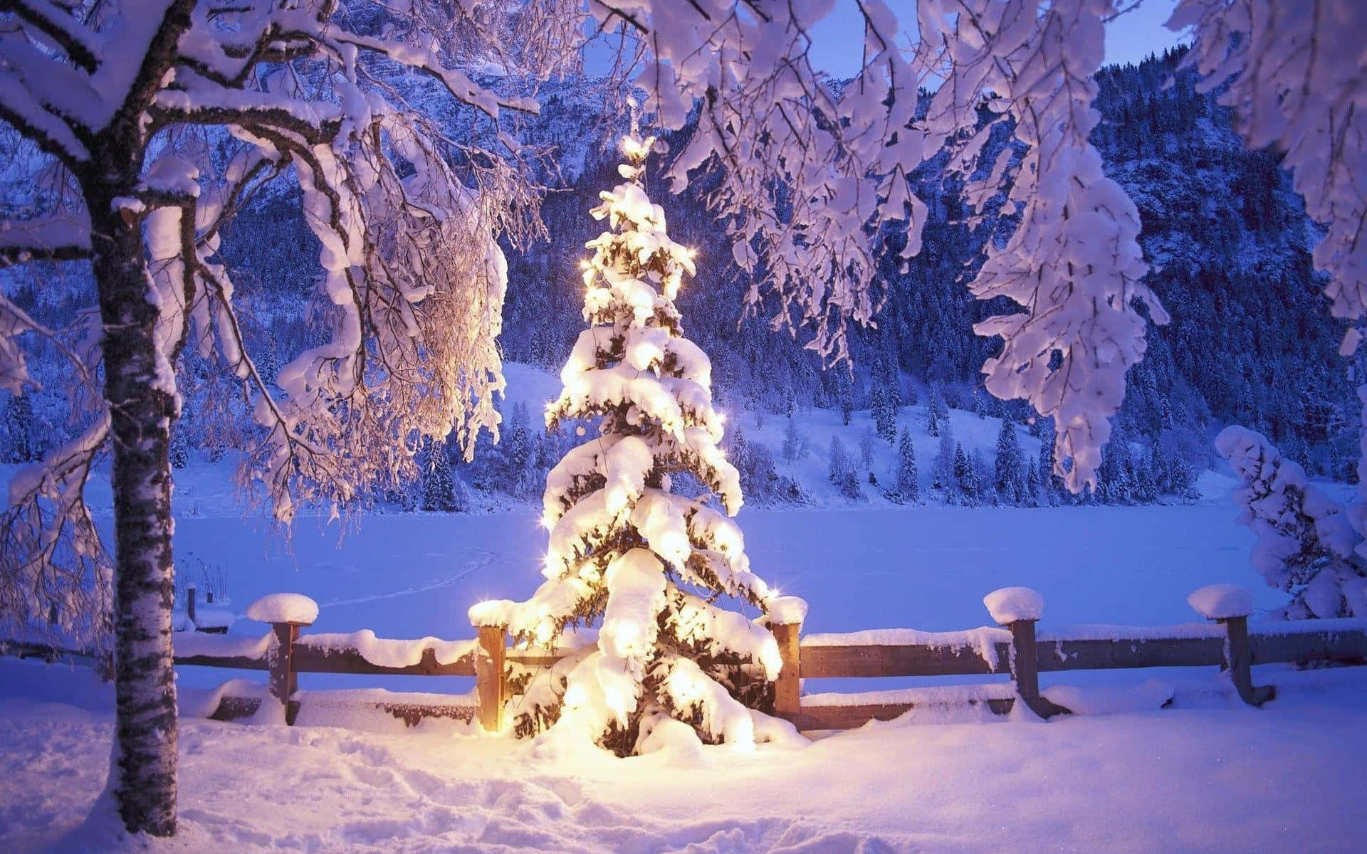 白色圣诞树雪景背景创意 壁纸