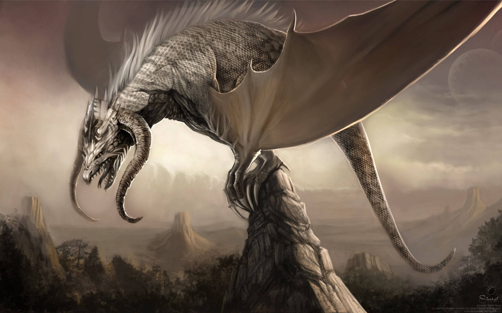 白色角龙日本风格电脑壁纸 壁纸