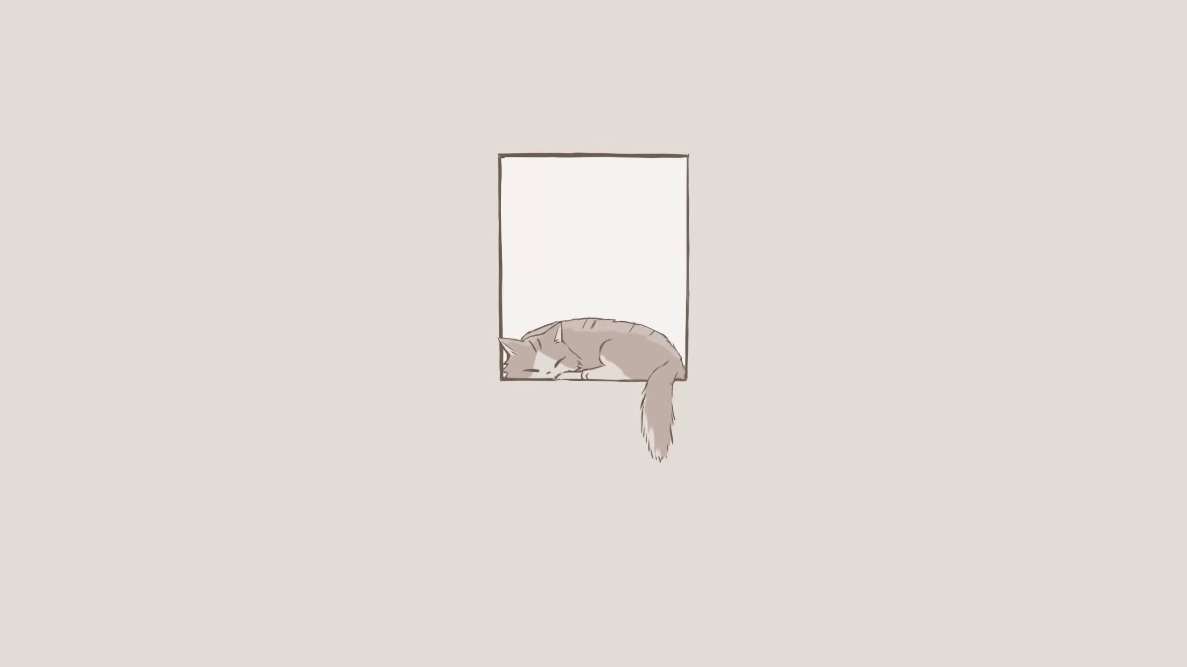 睡猫极简美学笔记本电脑 壁纸