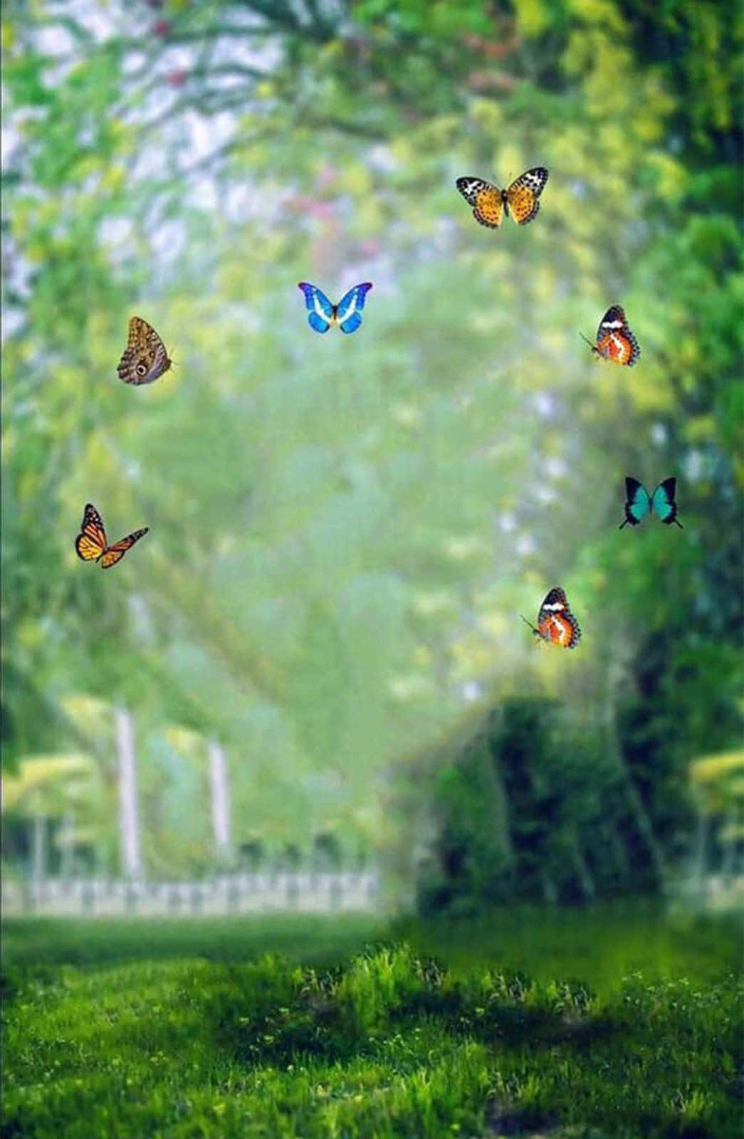 CB背景
