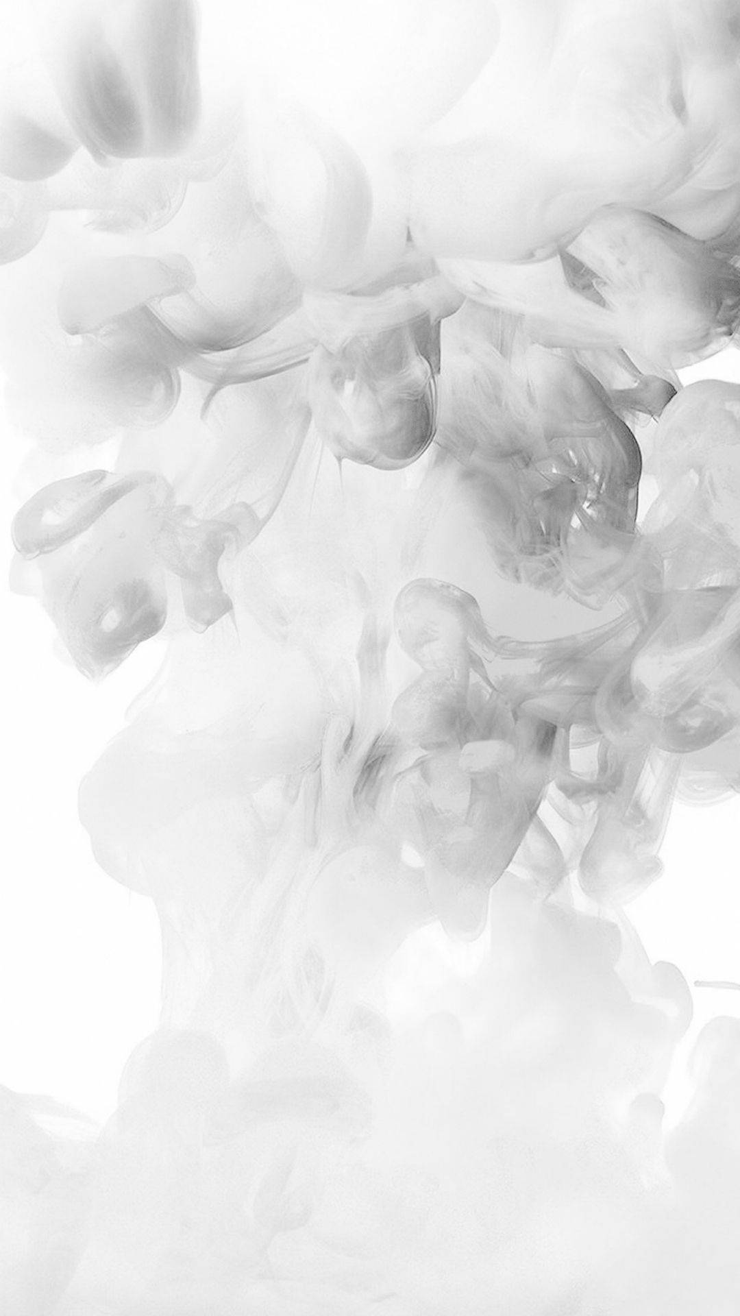 神秘白雾 壁纸