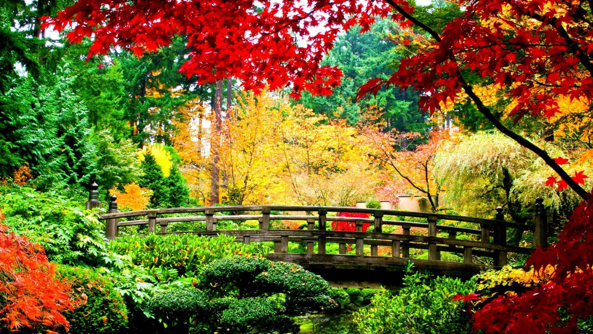 秋园桥高清秋季背景 壁纸