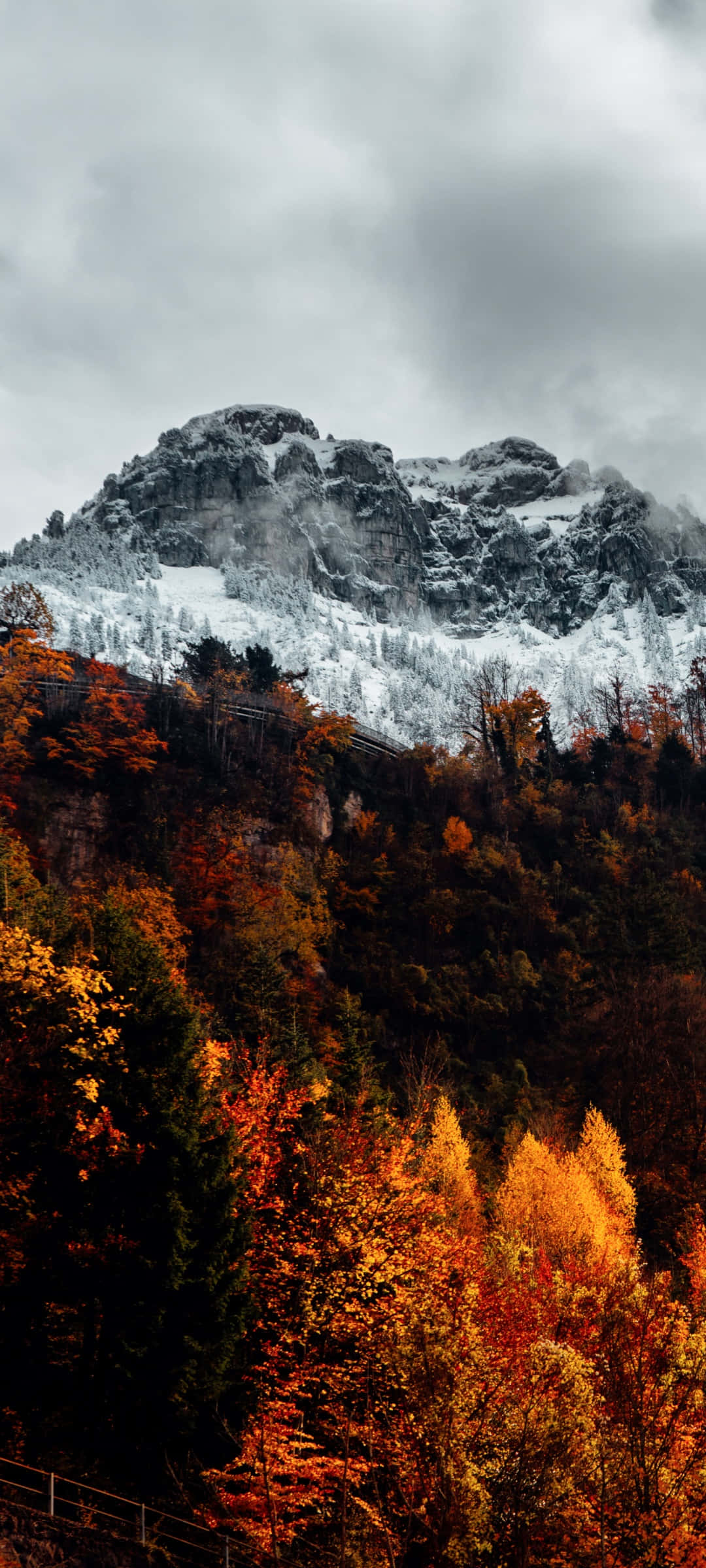 手机版秋日山景 壁纸