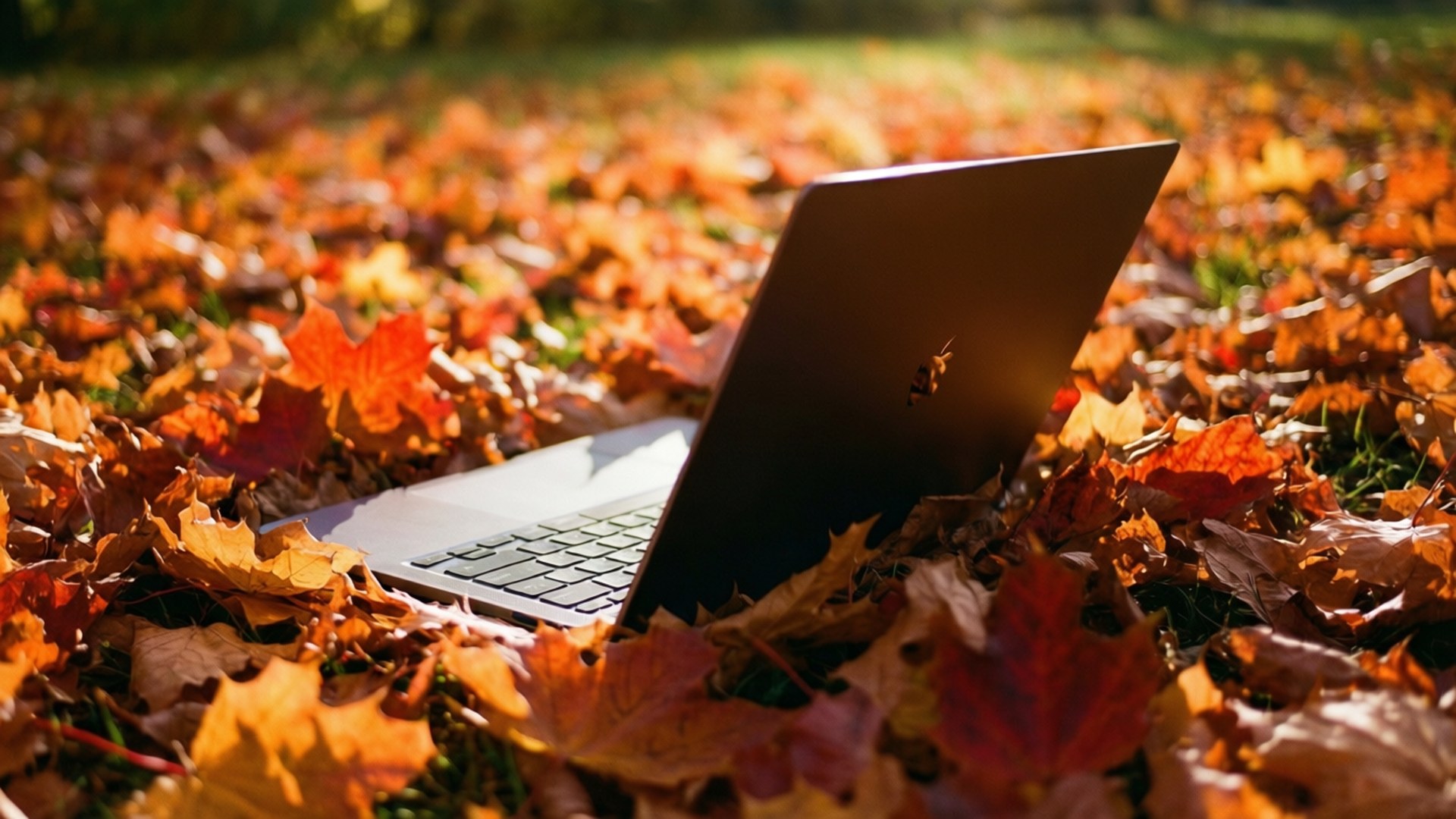 秋日Chromebook温馨时光 壁纸