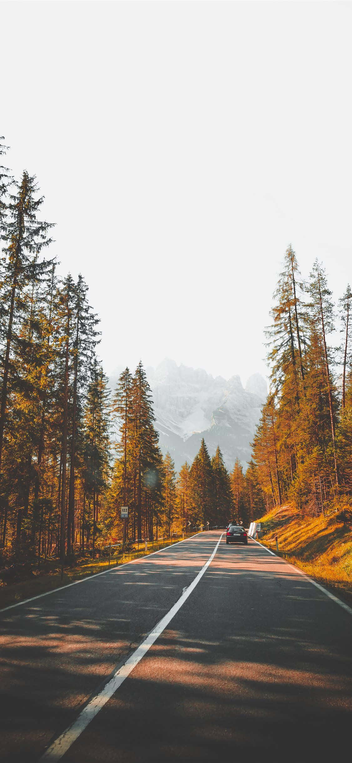 秋日道路户外美学背景 壁纸