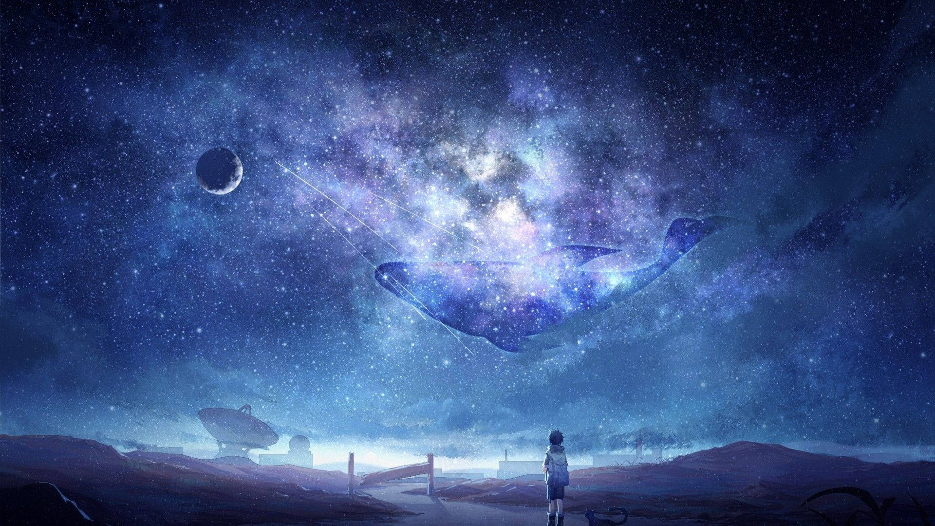 男孩站立动漫夜空
