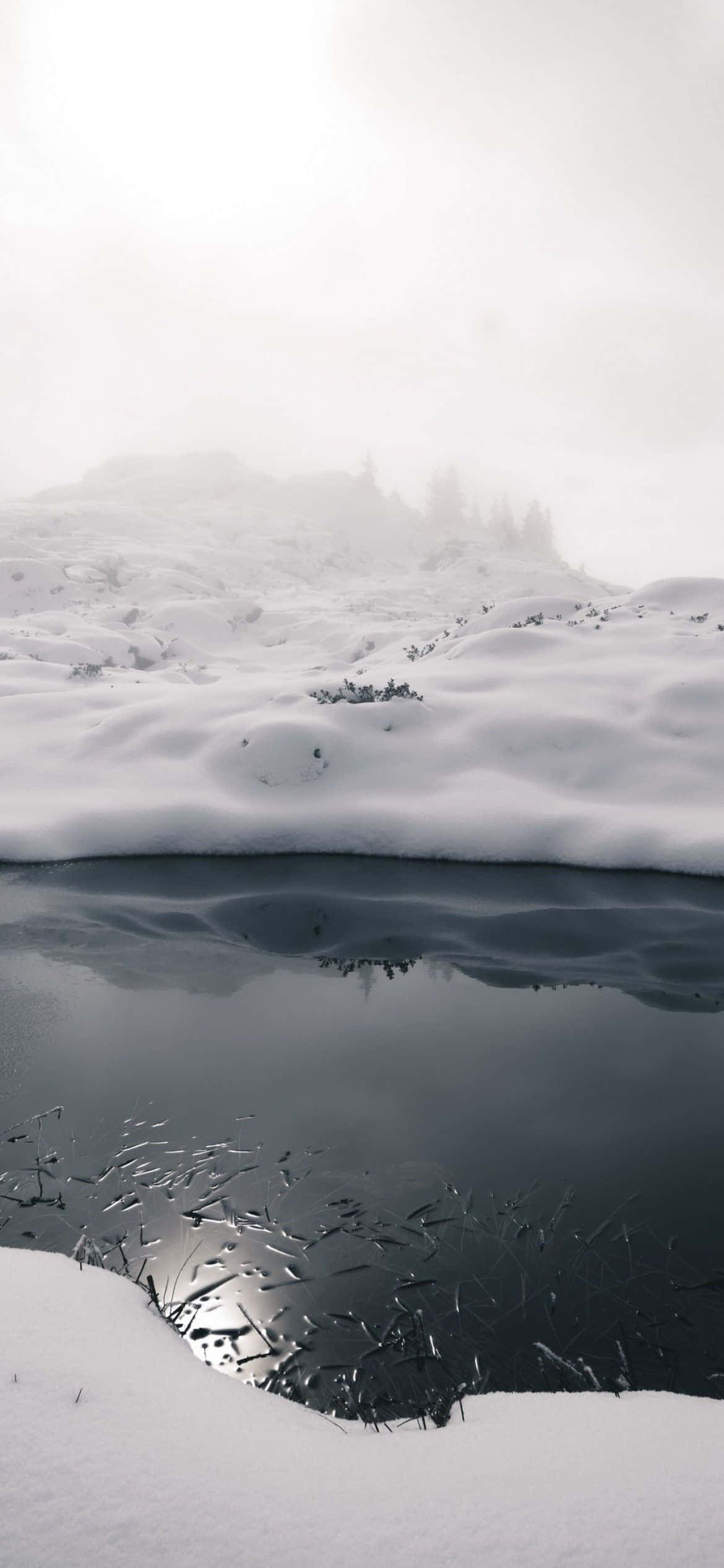 积雪覆盖的湖泊及其倒影 壁纸