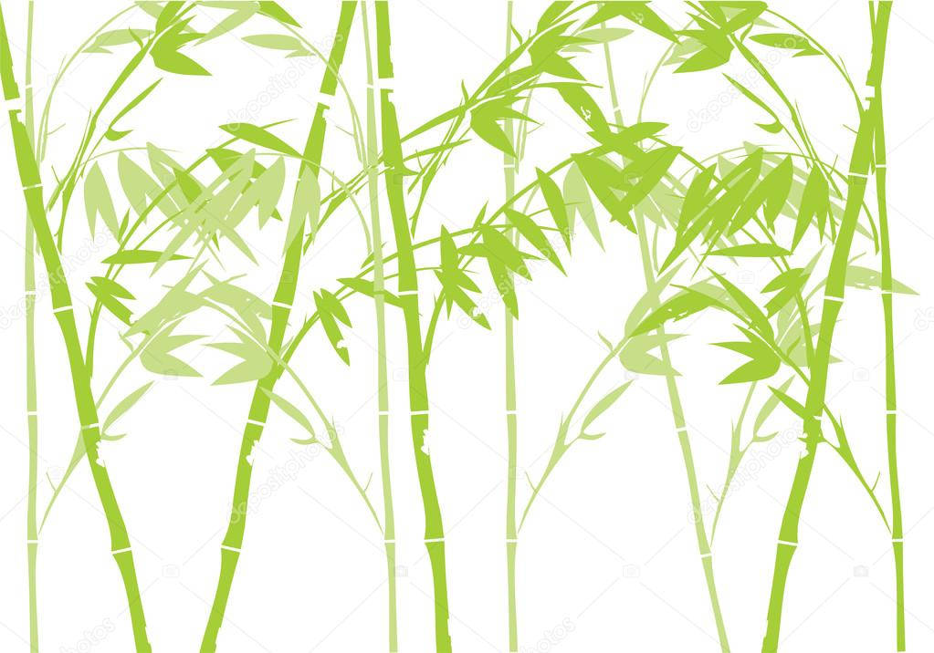 竹子4K抽象艺术 壁纸