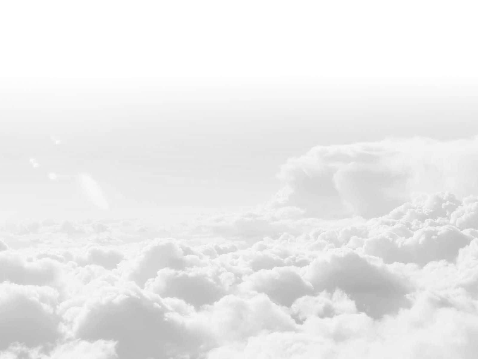 简约典范——令人舒适的白色美学。 壁纸