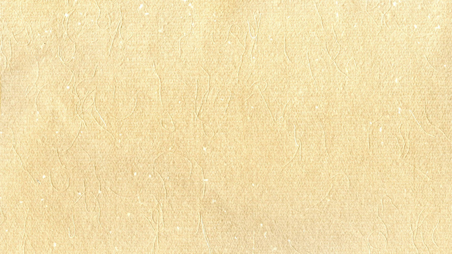 米色背景纸张纹理 壁纸
