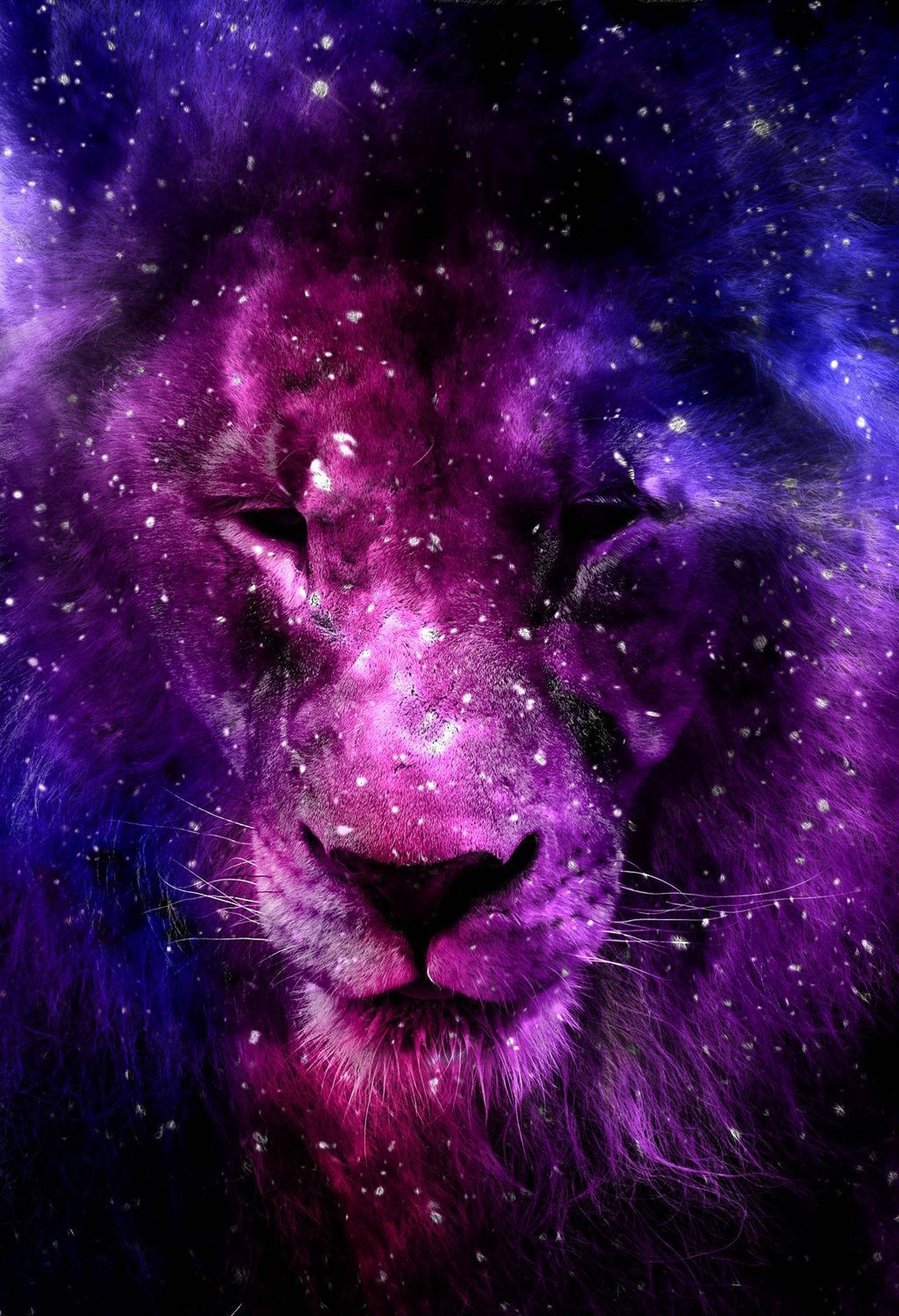 粉紫渐变星系雄狮 壁纸