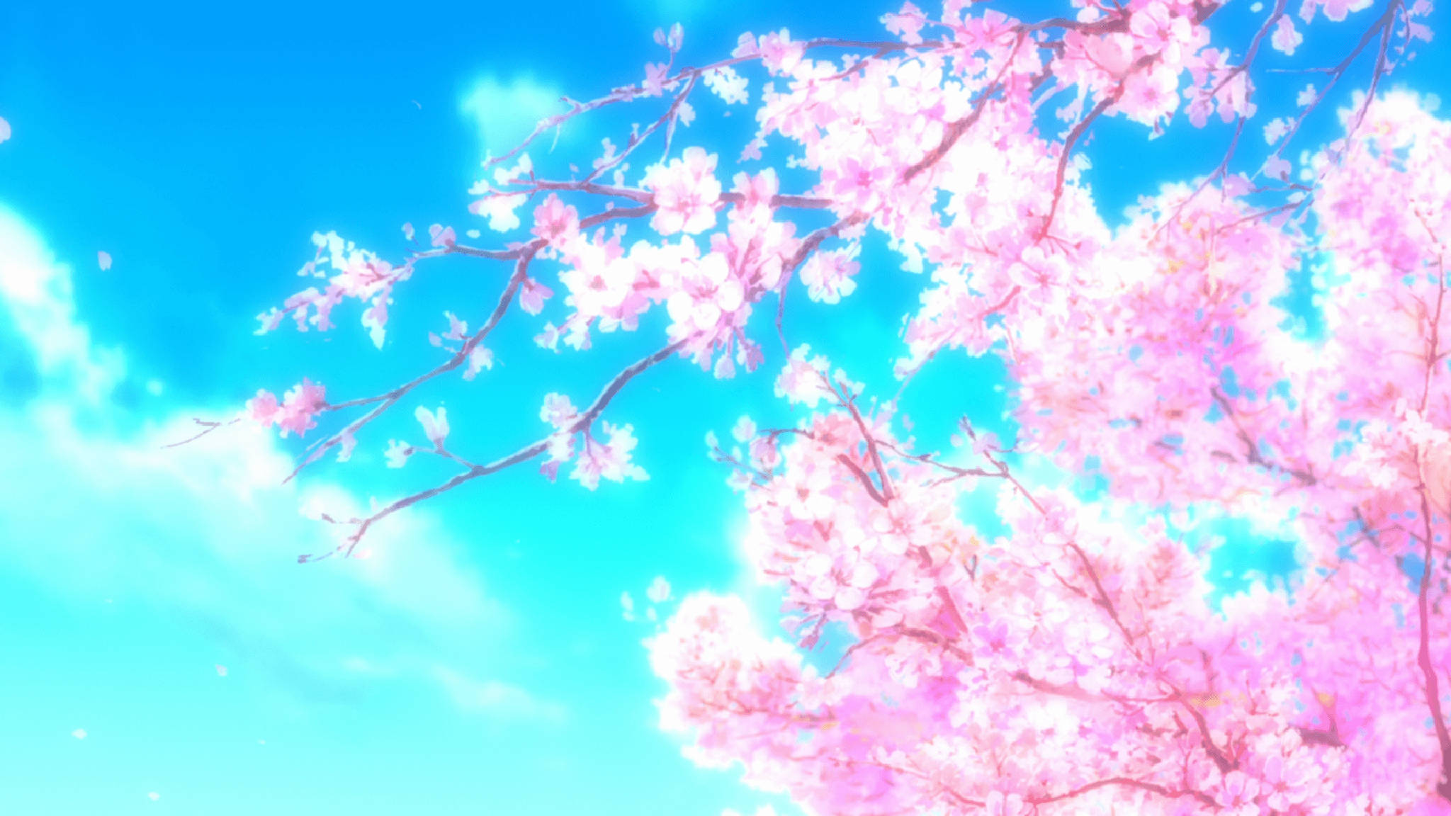 粉色动漫美学樱花 壁纸