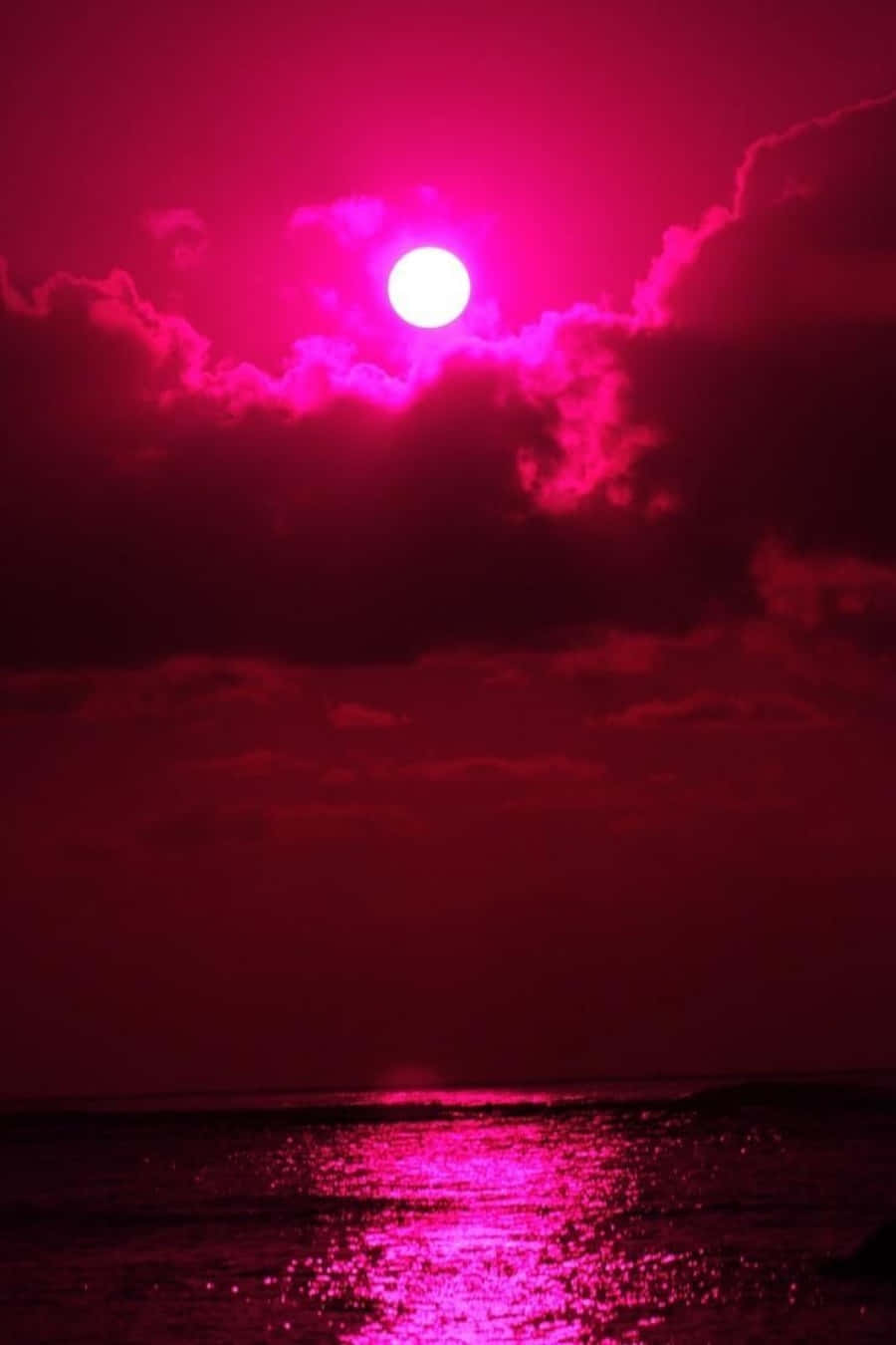 粉色太阳照耀海洋 壁纸