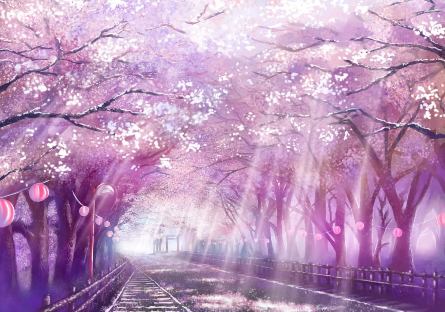 粉色樱花动漫唯美风景 壁纸