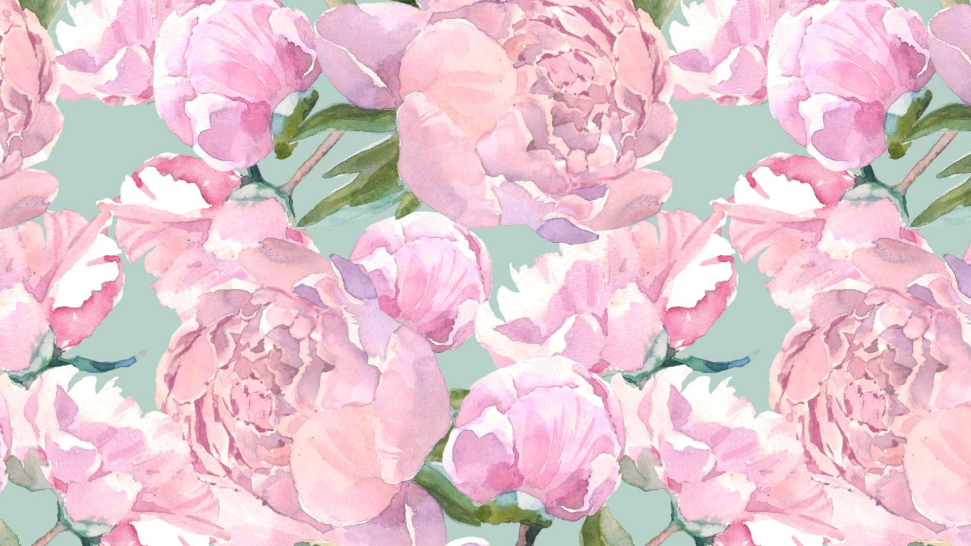 粉色花朵与绿叶美学 壁纸