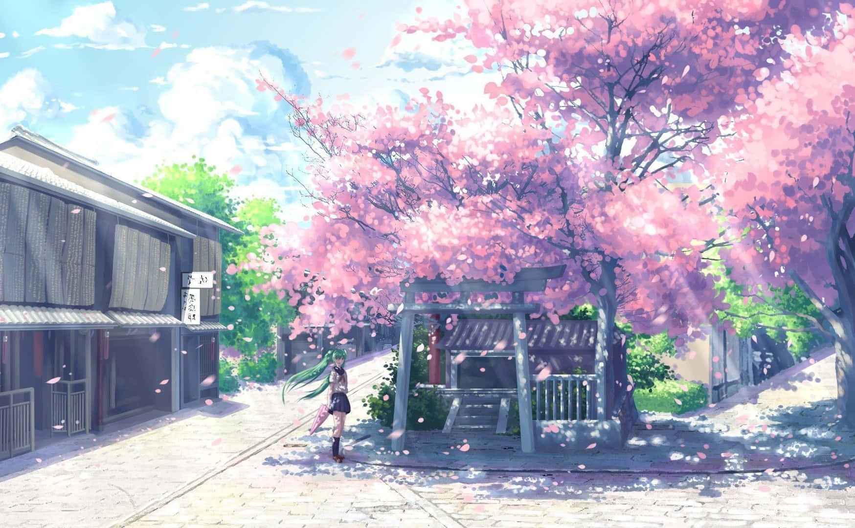 粉色花树与房屋的街道 壁纸